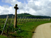 Vue depuis le Calvaire - Photo P. LALAIN