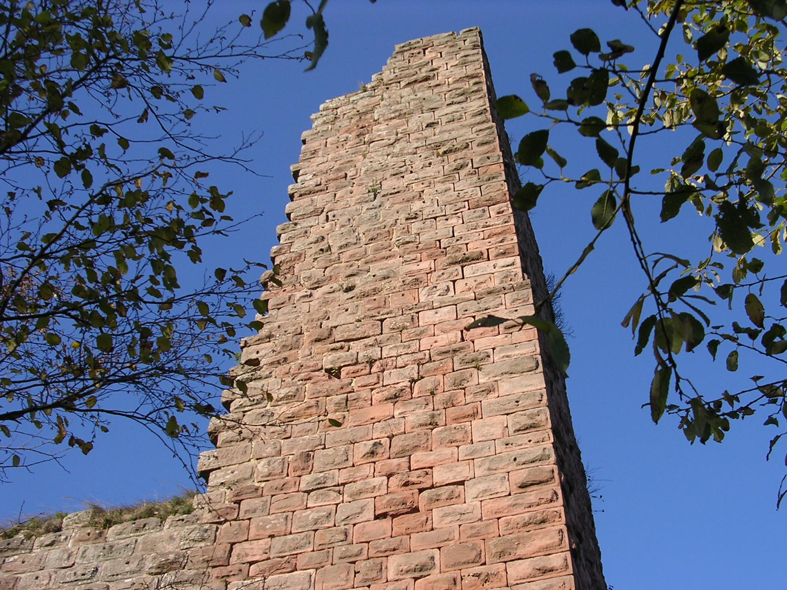 donjon11