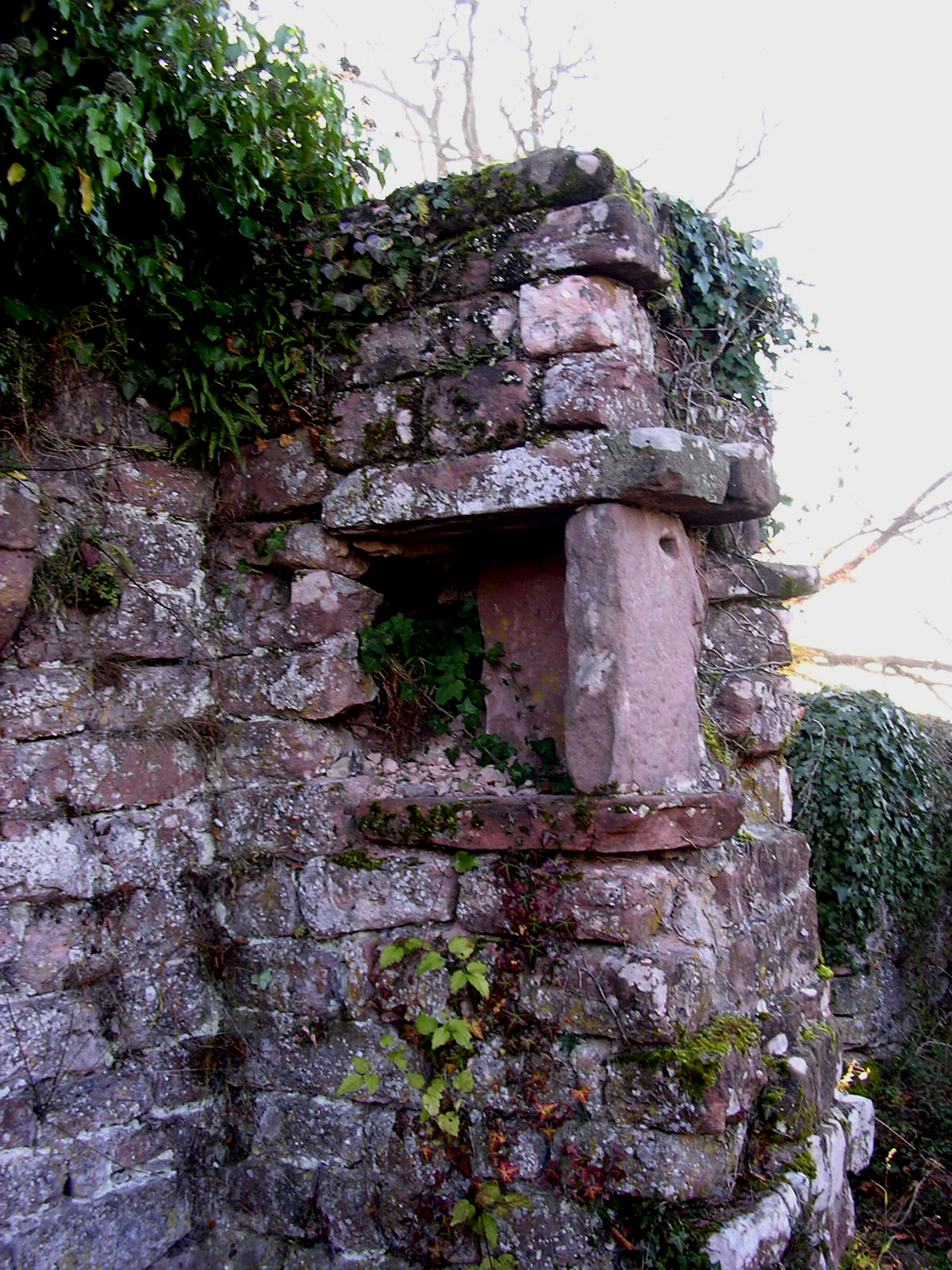 niche01